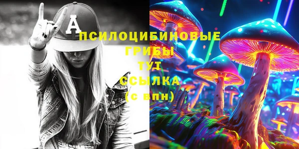 дмт Абаза