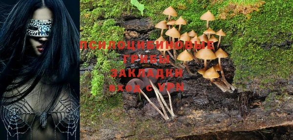 дмт Абаза