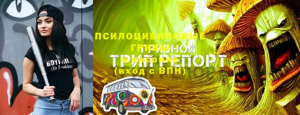 дмт Абаза