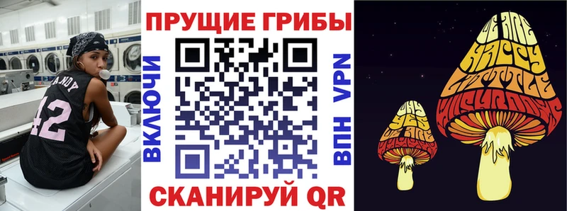 Галлюциногенные грибы Psilocybe  Нефтегорск 